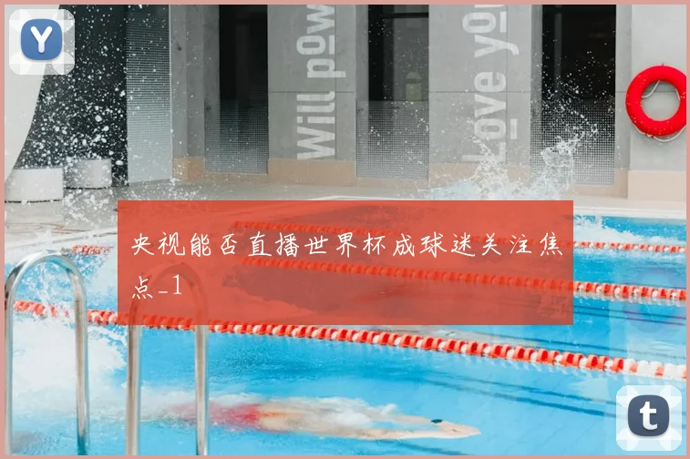 央视能否直播世界杯成球迷关注焦点_1