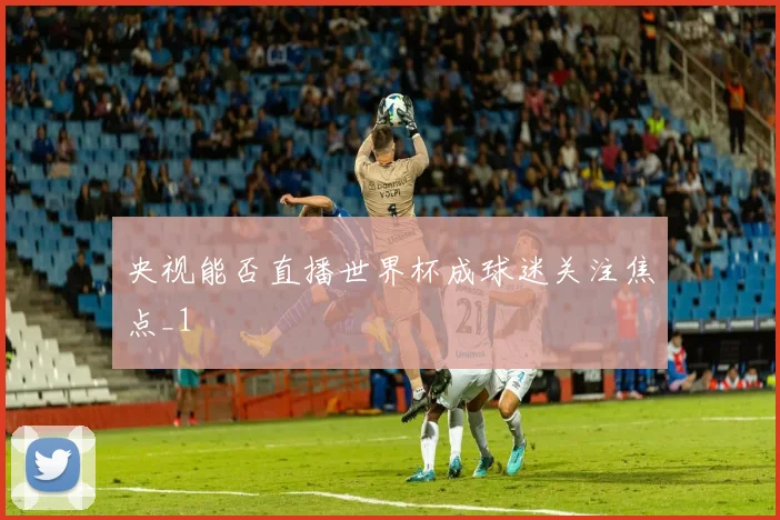 央视能否直播世界杯成球迷关注焦点_1