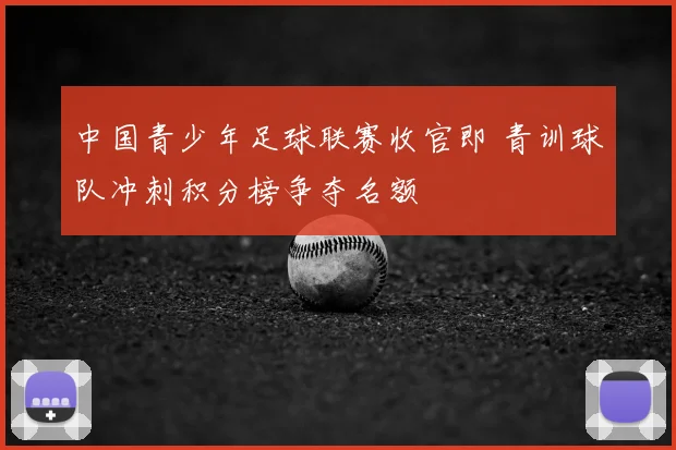 中国青少年足球联赛收官即 青训球队冲刺积分榜争夺名额